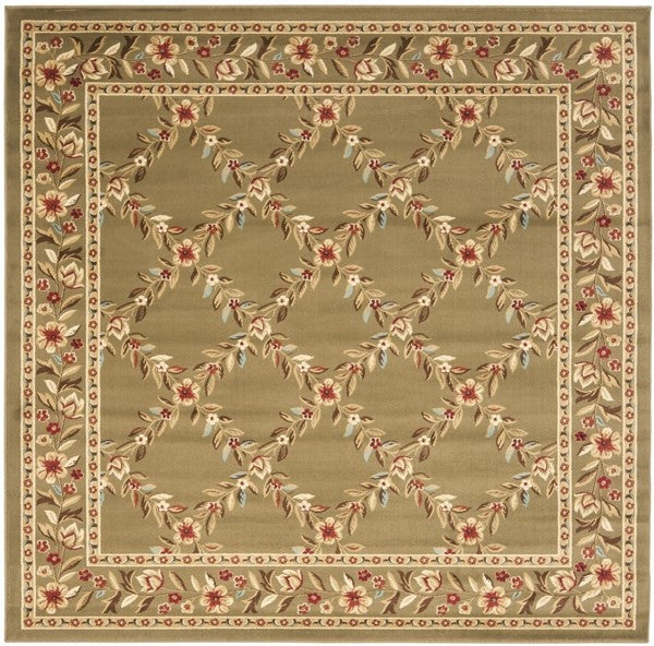 Safavieh Lyndhurst LNH557 Area Rug